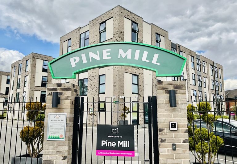 Hall Pine Mill
