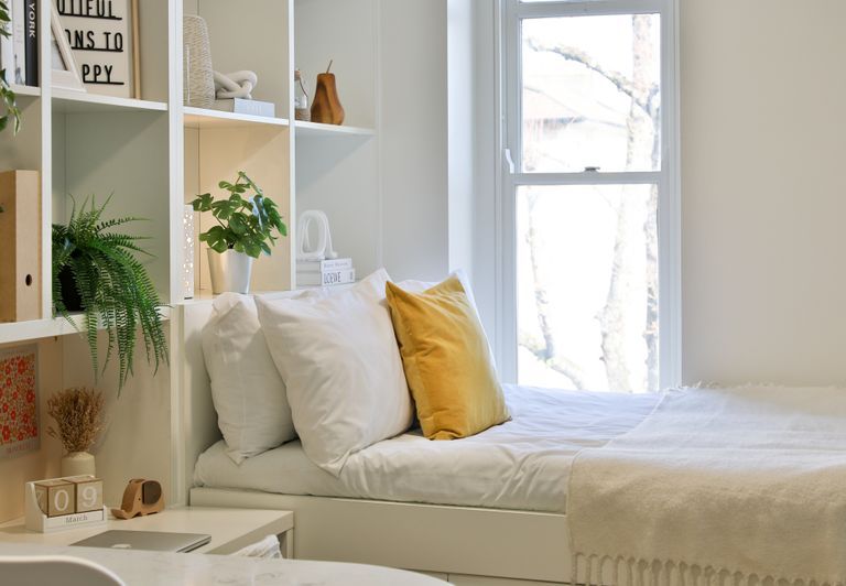 Hall - Tamarillo House
