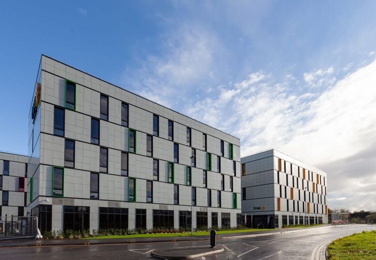 Hall - True Swansea