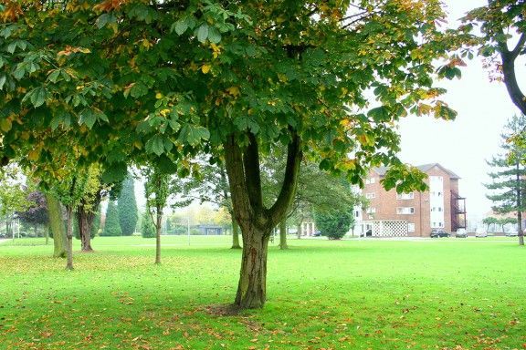 credit: http://www.chester.ac.uk/sites/files/chester/imagecache/accom/images/accom_image/IMG_4852.jpg